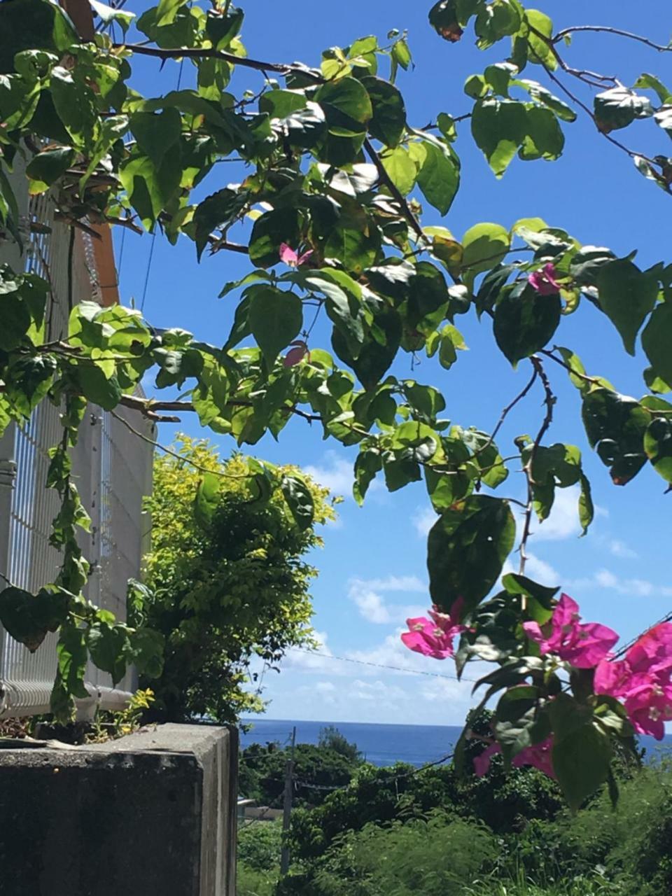海之恋 Villa Miyakojima  Dış mekan fotoğraf